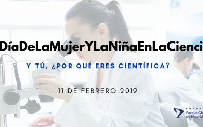 11 febrero 2019