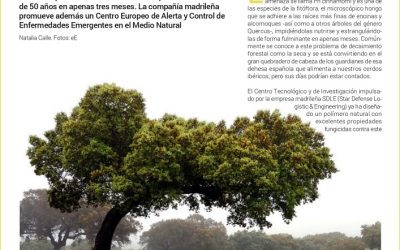 Portada del reportaje sobre SDLE en El Economista Agro