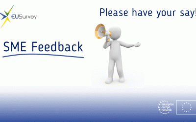 SME Feedback EEN Madrid